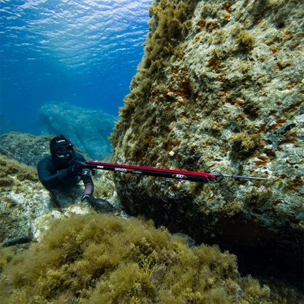 Arbalète fusil harpon chasse sous marine Pathos Saragos Evo Carbon 82 cm