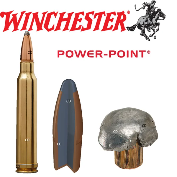 Balles Winchester Super X Power Point 300 Win Mag 180 Grains Par 20