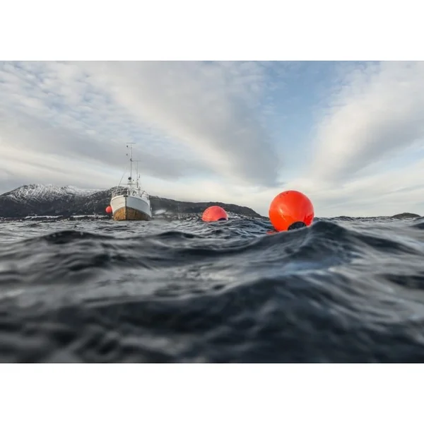 Pare-battage Polyform Norway sphérique blanc 29.5 X 38 cm A1